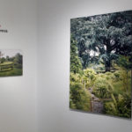 Title Wall, Installation View, G+ Galleries, Toronto, 2008.