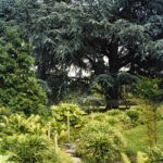 Japanese Landscape, Garden of Harmony, Kew, 2007, chromogenic print, 108 x 144.5 cm.