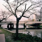 Aioi Bridge (T-Bridge, Aiming Point for the Bomb), about 200 meters from the hypocenter, March 2013, Chromogenic print, 30 x 40 inch.