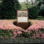 Hiroshima City Hall, about 1000 meters from the hypocenter, photograph by the U.S. Army, 1945, April 2013, Chromogenic print, 30 x 40 inch.