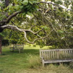 Holly Walk, Kew, 2004, chromogenic print, 63 x 84.5 cm.