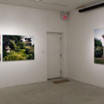 Installation View, Back gallery, 2008.