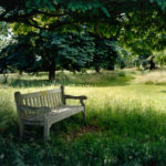 Queens Cottage Grounds, Kew, 2007, chromogenic print, 91 x 121.5 cm.