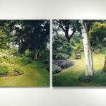 Installation View, Woodland Garden, Kew, 2007, chromogenic print, 91 x 121.5 cm.