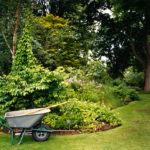 Wheelbarrow, Woodland Garden, Kew, 2007, chromogenic print, 91 x 121.5 cm.