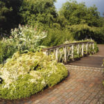 Bridge, Kew, 2004, chromogenic print, 61 x 83.2 cm.