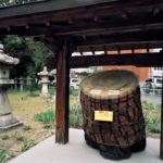 Katy McCormick, A-bombed Japanese Pine Tree, Nigitsu Shrine, Hiroshima, 1720 meters from the hypocenter, 2013, Chromogenic print, 30 x 40 inch.