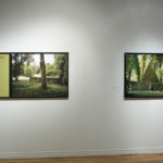 Installation view, WARC Gallery, Toronto, 2006.