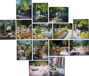 Cremation Garden, Mount Pleasant, 15 chromogenic prints, 18 in. x 39 in.