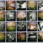 May at The Botanical Garden, 1993, 20 gelatin silver & chromogenic prints, 68 in. x 84 in.