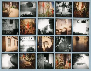 Our Lady of Mount Carmel, 1995, 20 gelatin silver & chromogenic prints, 68 in. x 84 in.