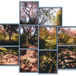 Alexander Muir Park, 2002, 13 chromogenic prints, 29 in. x 39 in.