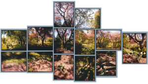 Alexander Muir Park, 2002, 13 chromogenic prints, 29 in. x 39 in.