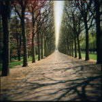 Grande allée, Parc de Sceaux, 1997, chromogenic print, 19 in. x 19 in.