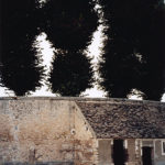 Trees, Vaux-le-Vicomte, 2003, chromogenic print, 30 in x 40 in.