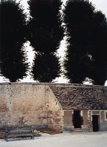 Trees, Vaux-le-Vicomte, 2003, chromogenic print, 30 in x 40 in.