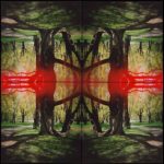 Kaleidoscape # 1, 1995-96, four chromogenic prints mounted on board, overall 48 in. x 48 in.