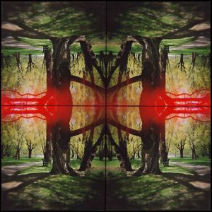 Kaleidoscape # 1, 1995-96, four chromogenic prints mounted on board, overall 48 in. x 48 in.