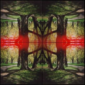 Kaleidoscape # 1, 1995-96, four chromogenic prints mounted on board, overall 48 in. x 48 in.