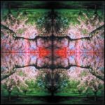 Kaleidoscape # 2, 1995-96, four chromogenic prints mounted on board, overall 48 in. x 48 in.