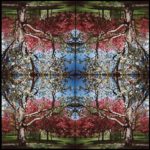 Kaleidoscape # 4, 1995-96, four chromogenic prints mounted on board, overall 48 in. x 48 in.