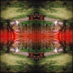Kaleidoscape # 5, 1995-96, four chromogenic prints mounted on board, overall 48 in. x 48 in.