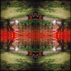 Kaleidoscape # 5, 1995-96, four chromogenic prints mounted on board, overall 48 in. x 48 in.