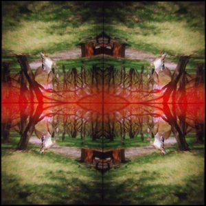 Kaleidoscape # 5, 1995-96, four chromogenic prints mounted on board, overall 48 in. x 48 in.