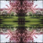 Kaleidoscape # 7, 1995-96, four chromogenic prints mounted on board, overall 48 in. x 48 in.
