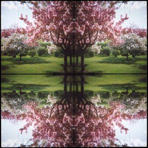 Kaleidoscape # 7, 1995-96, four chromogenic prints mounted on board, overall 48 in. x 48 in.